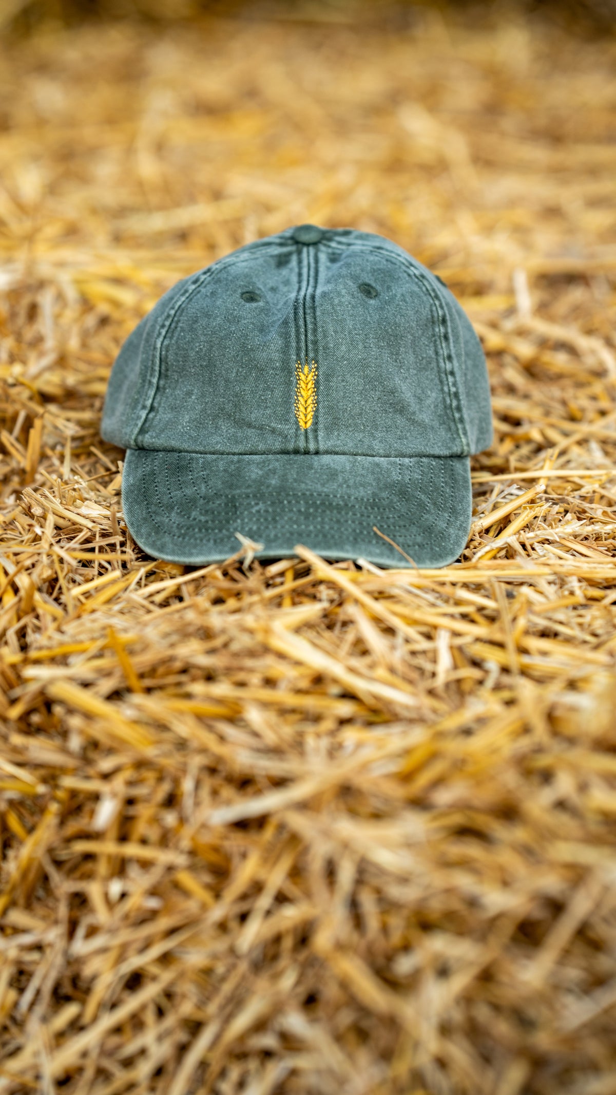 Vintage Cap olive