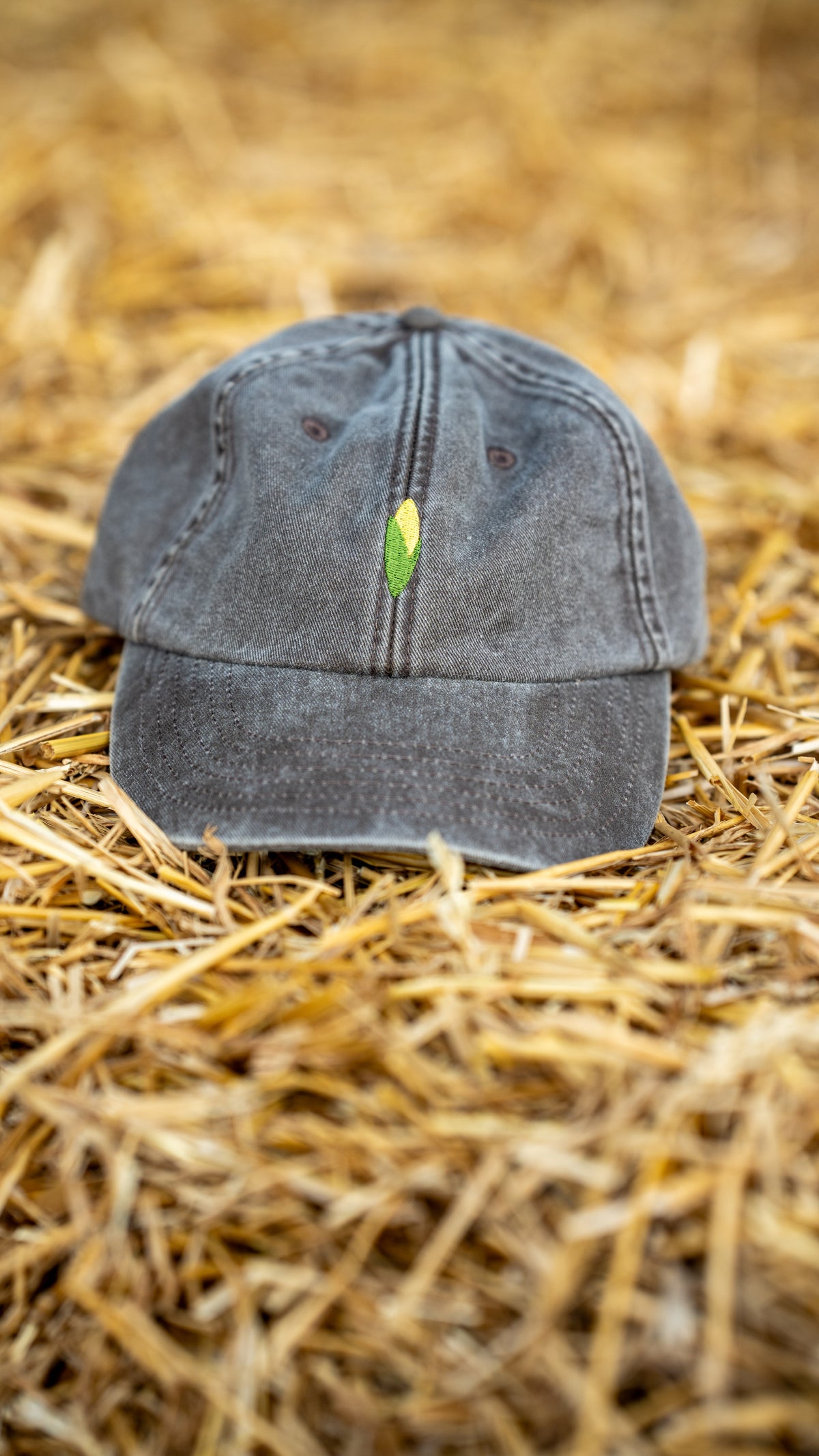 Vintage Cap braun