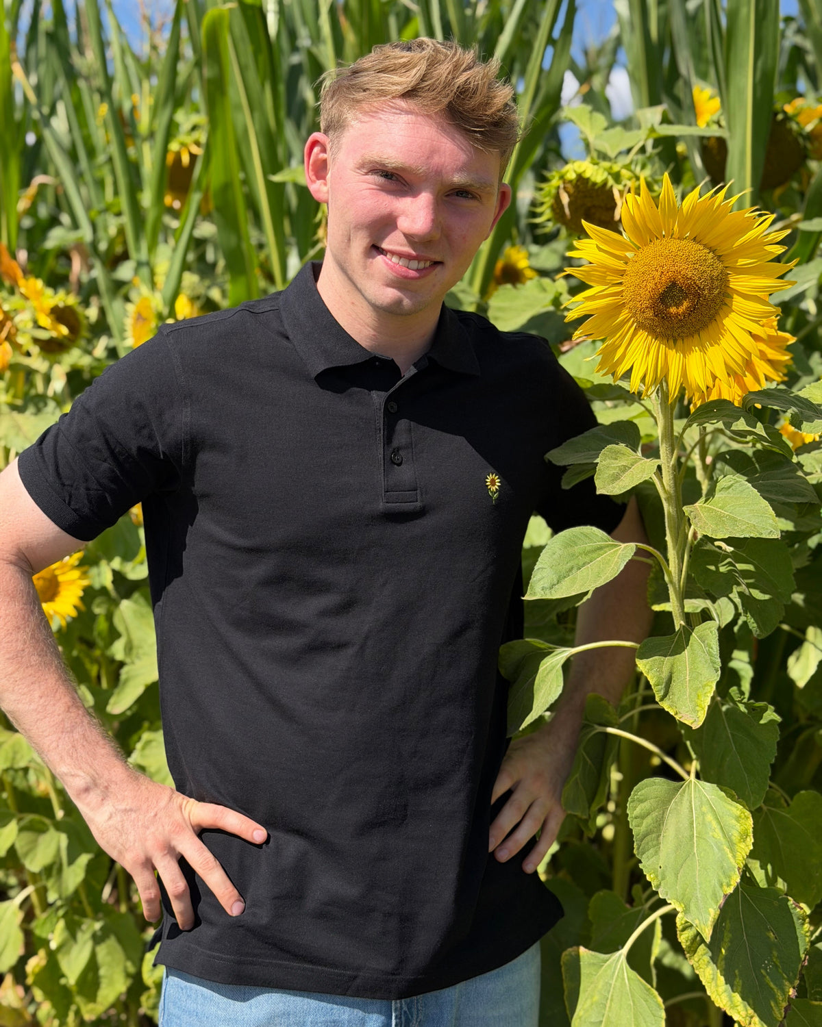 Polo mit Sonnenblume