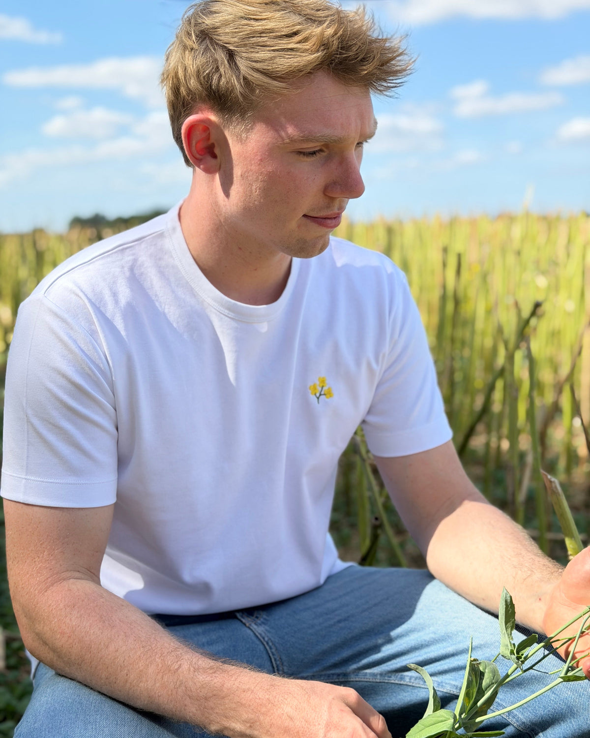 T-Shirt mit Rapsblüte
