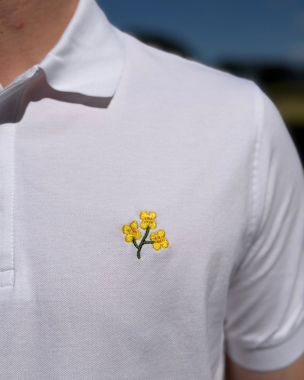 Polo mit Rapsblüte